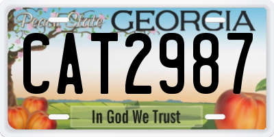 GA license plate CAT2987