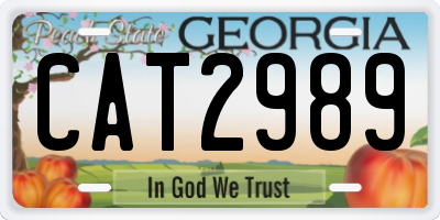 GA license plate CAT2989