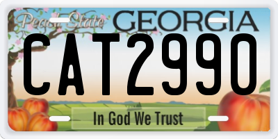 GA license plate CAT2990