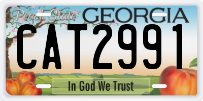 GA license plate CAT2991
