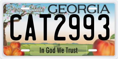 GA license plate CAT2993