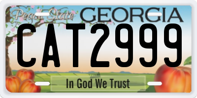 GA license plate CAT2999
