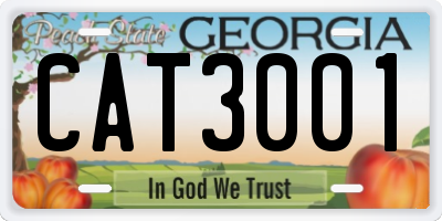 GA license plate CAT3001