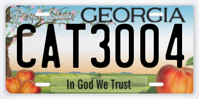 GA license plate CAT3004