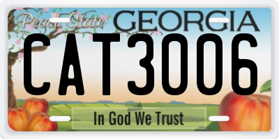 GA license plate CAT3006