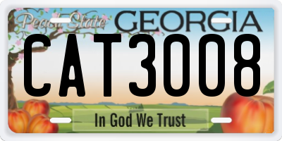 GA license plate CAT3008