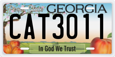 GA license plate CAT3011
