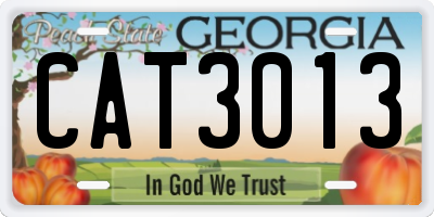 GA license plate CAT3013
