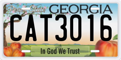 GA license plate CAT3016