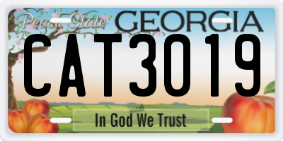 GA license plate CAT3019