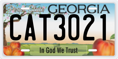 GA license plate CAT3021