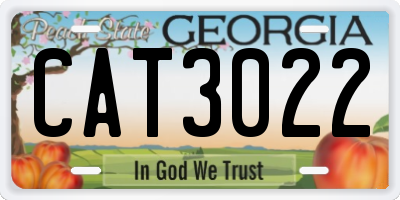 GA license plate CAT3022