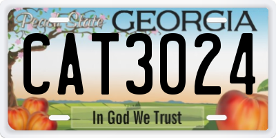 GA license plate CAT3024