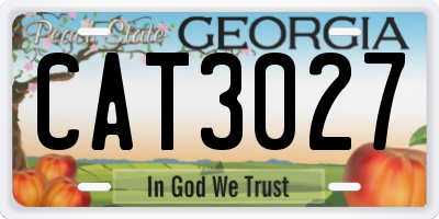 GA license plate CAT3027