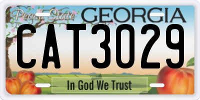 GA license plate CAT3029