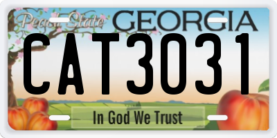 GA license plate CAT3031