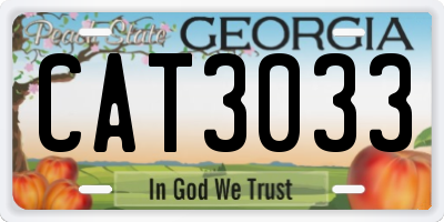 GA license plate CAT3033