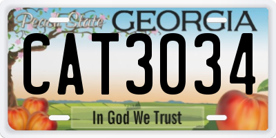 GA license plate CAT3034