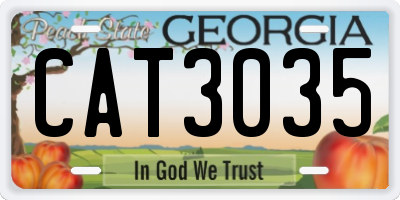 GA license plate CAT3035