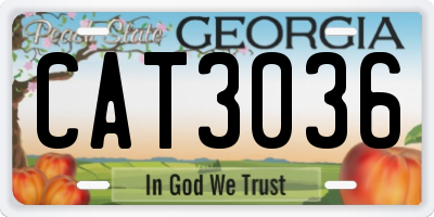 GA license plate CAT3036