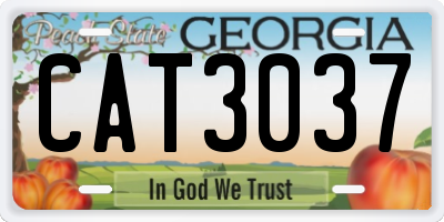 GA license plate CAT3037