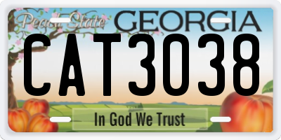 GA license plate CAT3038