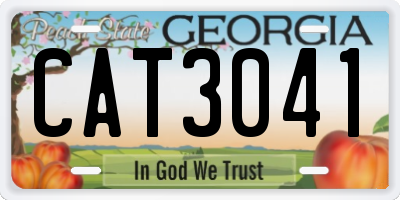 GA license plate CAT3041