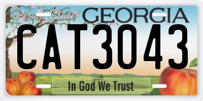 GA license plate CAT3043