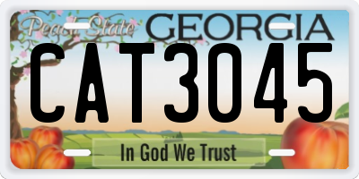 GA license plate CAT3045