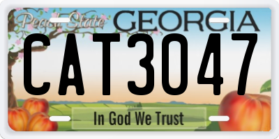 GA license plate CAT3047