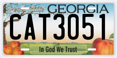 GA license plate CAT3051