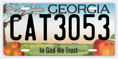 GA license plate CAT3053