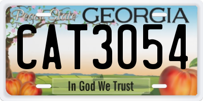 GA license plate CAT3054
