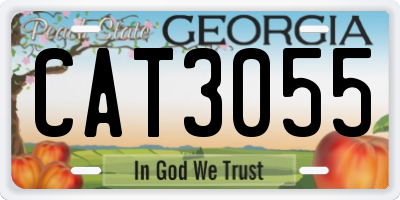 GA license plate CAT3055