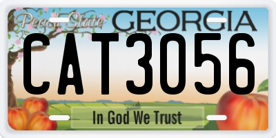 GA license plate CAT3056