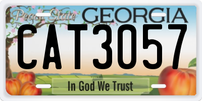 GA license plate CAT3057