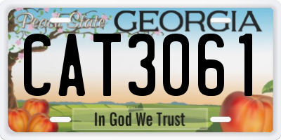 GA license plate CAT3061