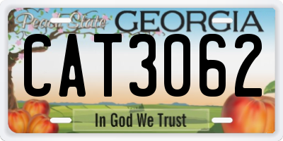 GA license plate CAT3062