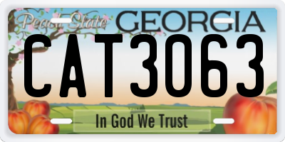 GA license plate CAT3063