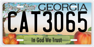 GA license plate CAT3065