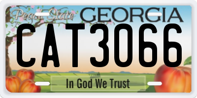 GA license plate CAT3066