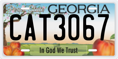 GA license plate CAT3067