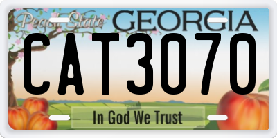 GA license plate CAT3070