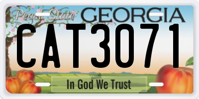 GA license plate CAT3071
