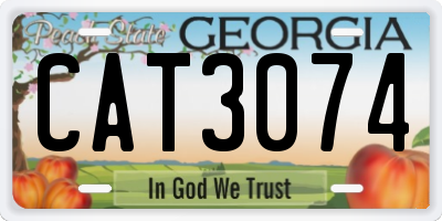 GA license plate CAT3074