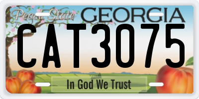 GA license plate CAT3075