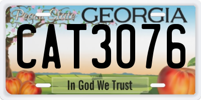 GA license plate CAT3076