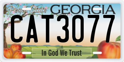 GA license plate CAT3077