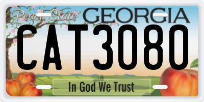 GA license plate CAT3080