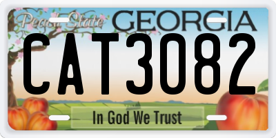 GA license plate CAT3082